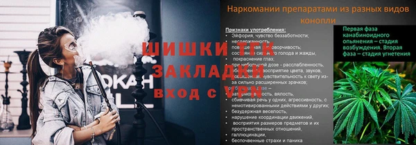 дмт Алексин