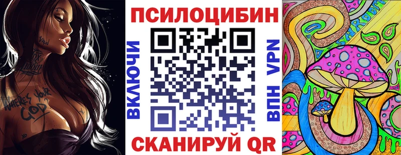 Галлюциногенные грибы мицелий купить наркоту Камбарка